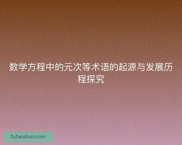 数学方程中的元次等术语的起源与发展历程探究