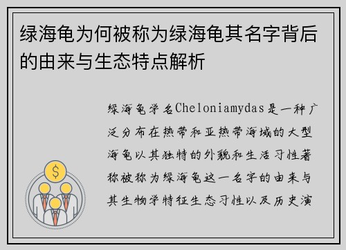 绿海龟为何被称为绿海龟其名字背后的由来与生态特点解析